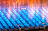 Columbjohn gas fired boilers